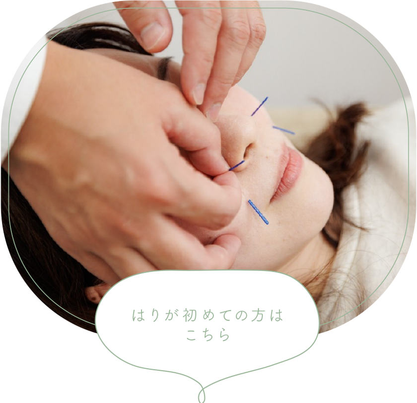 美容鍼&小顔矯正コース